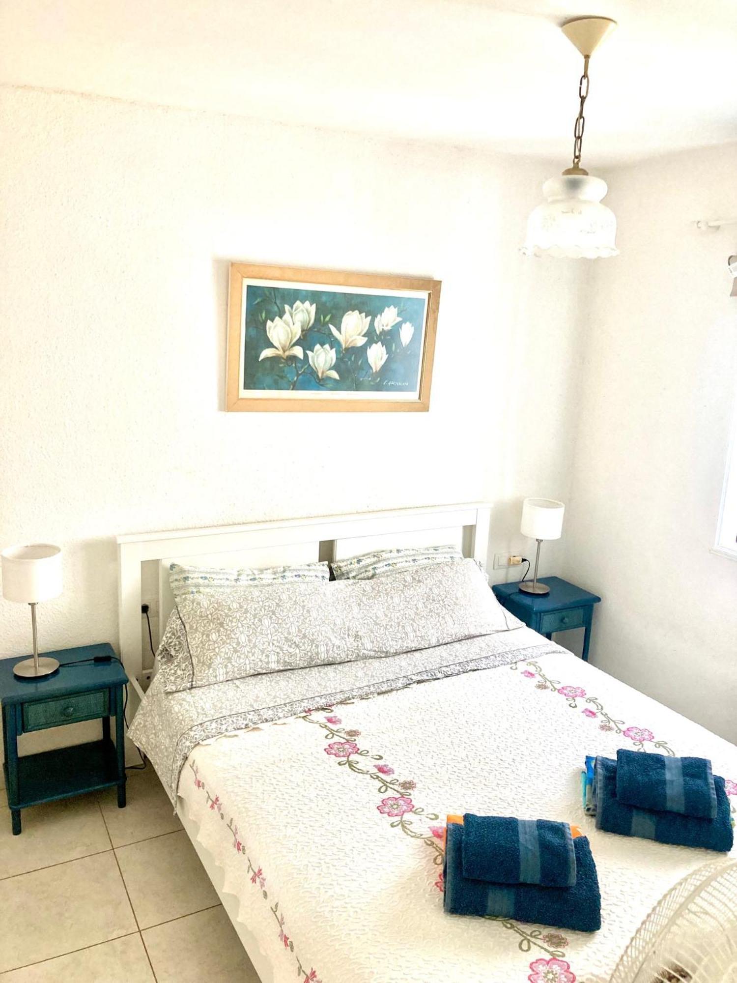 Apartamento En Primera Linea De Playa, Centrico, Tranquilo 플라야데라스아메리카스 외부 사진