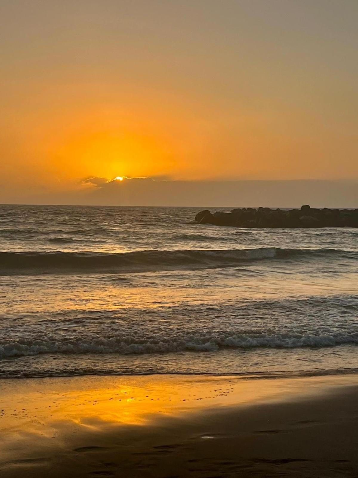 Apartamento En Primera Linea De Playa, Centrico, Tranquilo 플라야데라스아메리카스 외부 사진